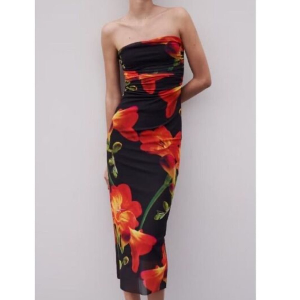 Zara Printed Mesh Strapless Printed Dress